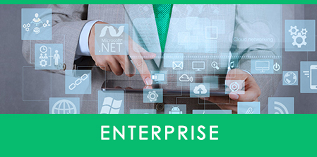 enterprise-sector-title